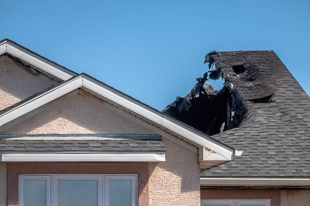 Top rated local Board Up Services specialists in Elmwood, WI